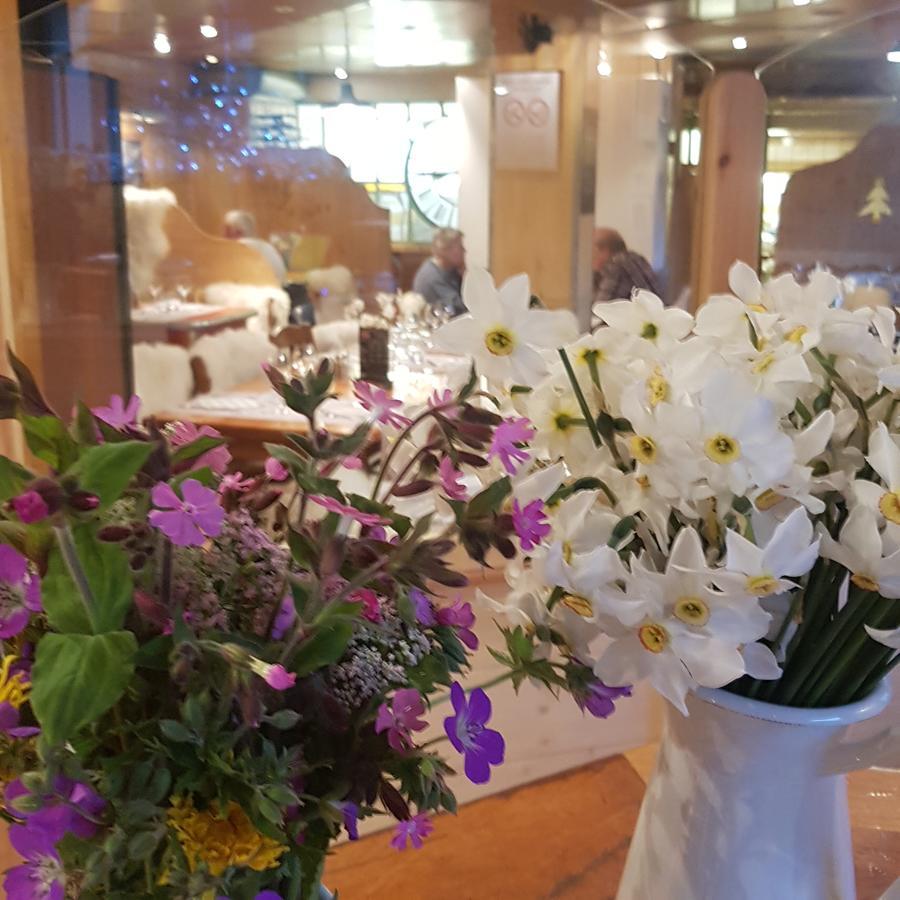 Hotel Hotel chalet Les Mélèzes Valloire酒店