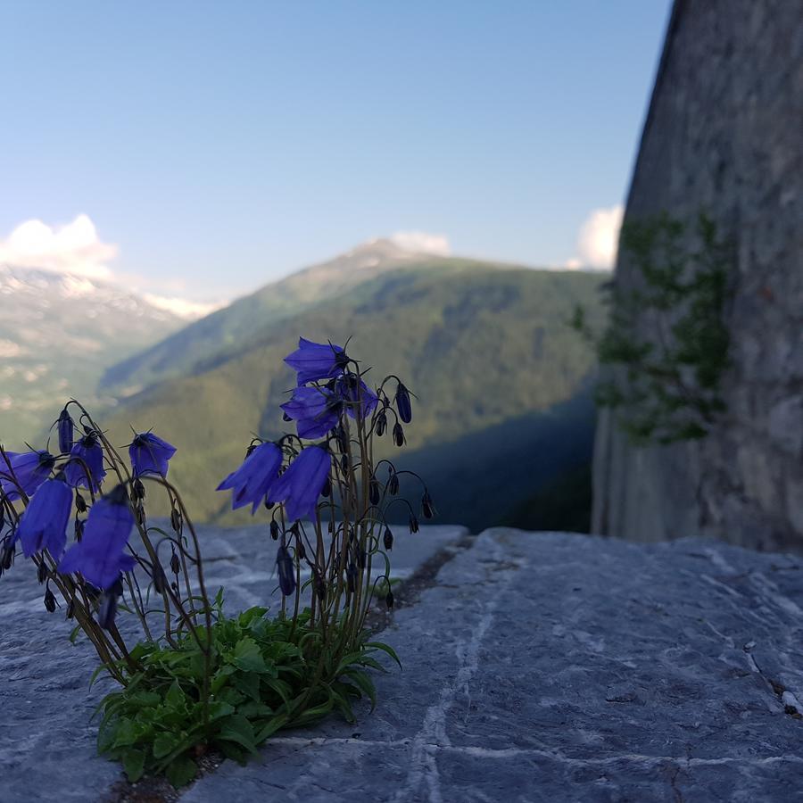 Hótel-chalet-Les Mélèzes酒店3*